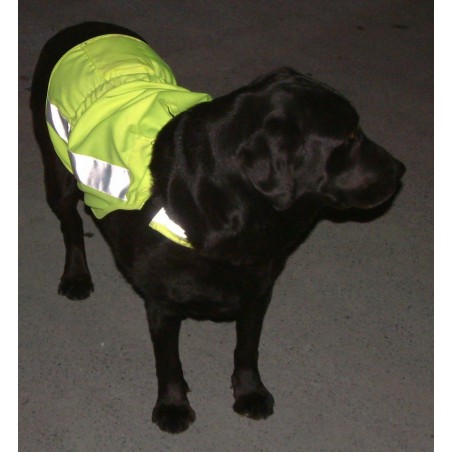 Gilet ajustable haute visibilité pour grand chien Gilet ajustable haute visibilité pour grand chien