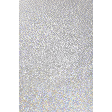 Tissu GESKA, Enduit, 315g/m², Gris argent