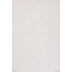 Voile thermocollant sur papier ZZ 702, 20g/m², Blanc