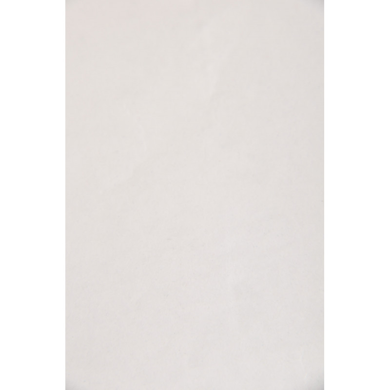 Voile thermocollant sur papier ZZ 702, 20g/m², Blanc