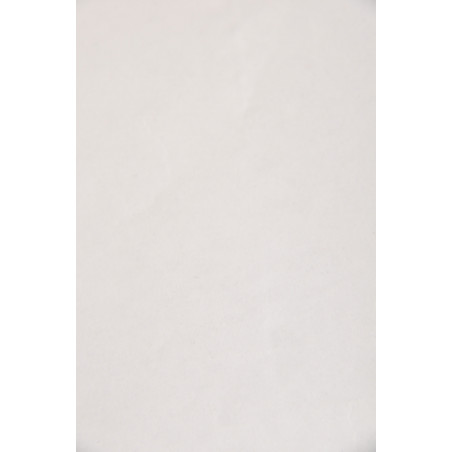 Voile thermocollant sur papier ZZ 702, 20g/m², Blanc