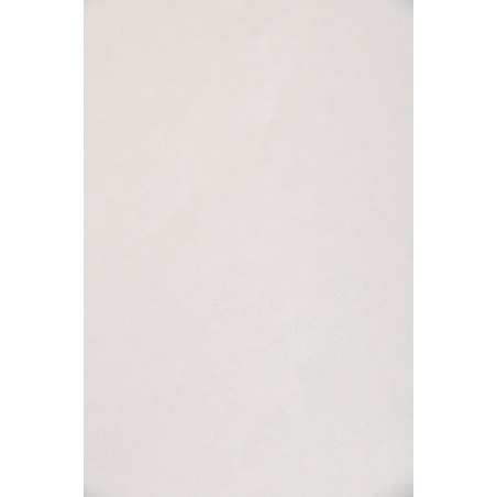 Voile thermocollant sur papier ZZ 702, 20g/m², Blanc Voile thermocollant sur papier ZZ 702, 20g/m², Blanc