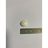 Bouton blanc demi sphère 2 trous 18 mm