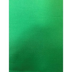 Tissu TI41BMAS36 , Toile , 180g/m² , Vert