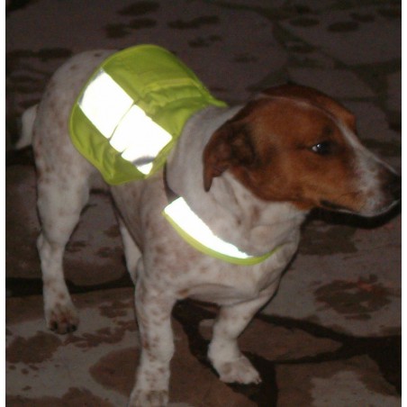 Gilet ajustable haute visibilité pour chien Gilet ajustable haute visibilité pour chien